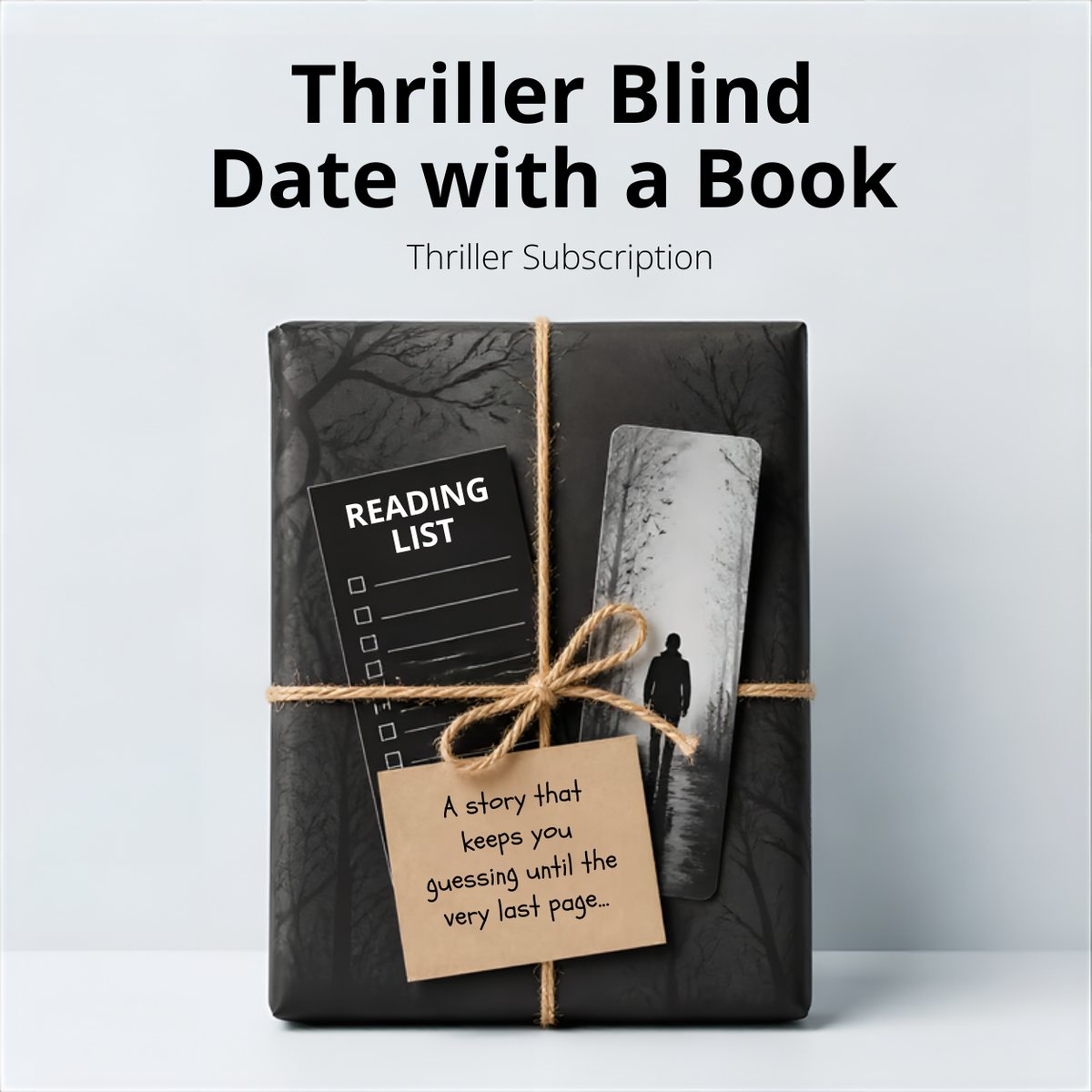 Thriller Blind Date with a Book Subscription